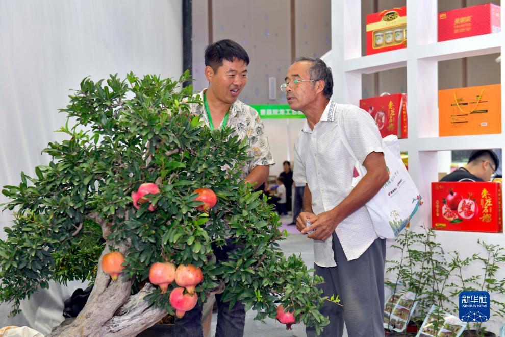 新2网址288880 - 首页